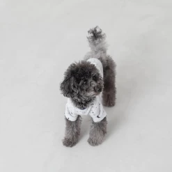 Best deal π Mon Cheri Wear Space Print Top Grey β€οΈ 13 Mon Cheri Wear Space Print Top Grey