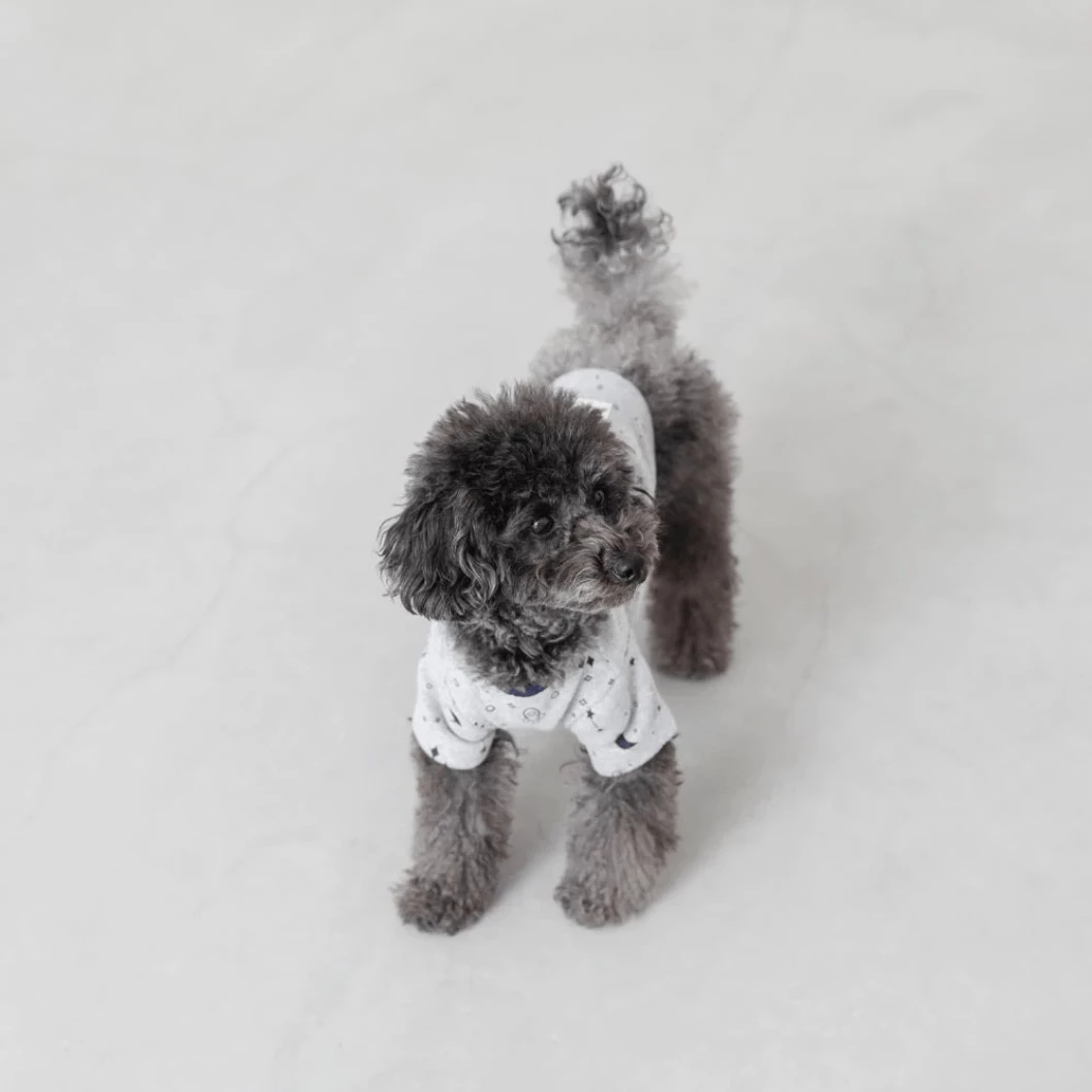 Best deal π Mon Cheri Wear Space Print Top Grey β€οΈ 8 Mon Cheri Wear Space Print Top Grey