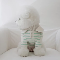 Near By Us Stripe Collar Top Mint