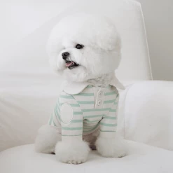 Near By Us Stripe Collar Top Mint