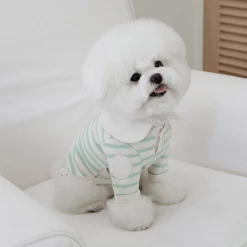 Near By Us Stripe Collar Top Mint