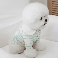 Near By Us Stripe Collar Top Mint