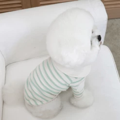 Near By Us Stripe Collar Top Mint