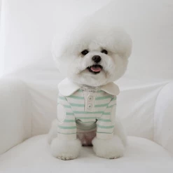 Near By Us Stripe Collar Top Mint