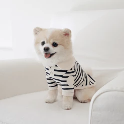 Near By Us Stripe Collar Top Navy