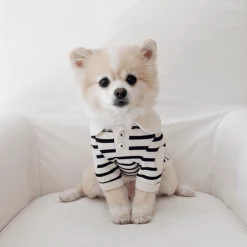 Near By Us Stripe Collar Top Navy