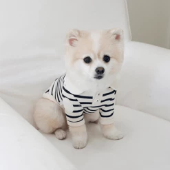 Near By Us Stripe Collar Top Navy