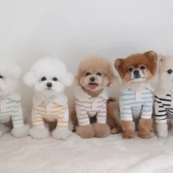 Near By Us Stripe Collar Top Blue