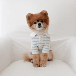 Near By Us Stripe Collar Top Blue