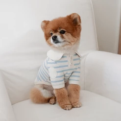 Near By Us Stripe Collar Top Blue