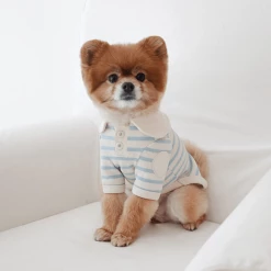 Near By Us Stripe Collar Top Blue