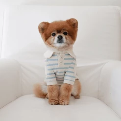 Near By Us Stripe Collar Top Blue