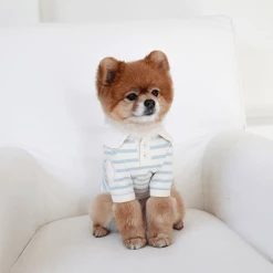 Near By Us Stripe Collar Top Blue