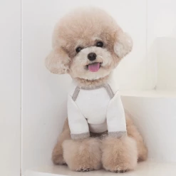 Near By Us Wear Palette Knit Top Ivory