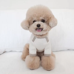 Near By Us Wear Palette Knit Top Ivory