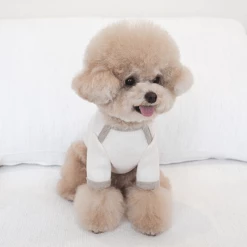 Near By Us Wear Palette Knit Top Ivory