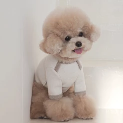 Near By Us Wear Palette Knit Top Ivory