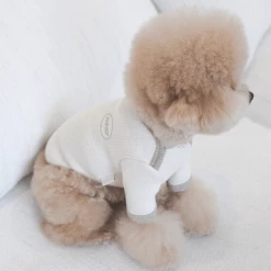 Near By Us Wear Palette Knit Top Ivory