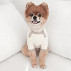 Near By Us Wear Palette Knit Top Ivory