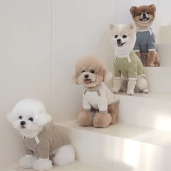 Near By Us Palette Knit Top Pink