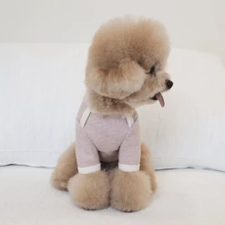 Near By Us Palette Knit Top Pink