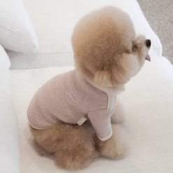 Near By Us Palette Knit Top Pink