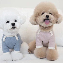 Near By Us Palette Knit Top Pink