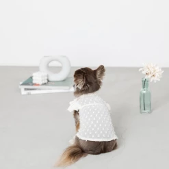 Mon Cheri Pompon Chiffon Blouse Ivory Wear