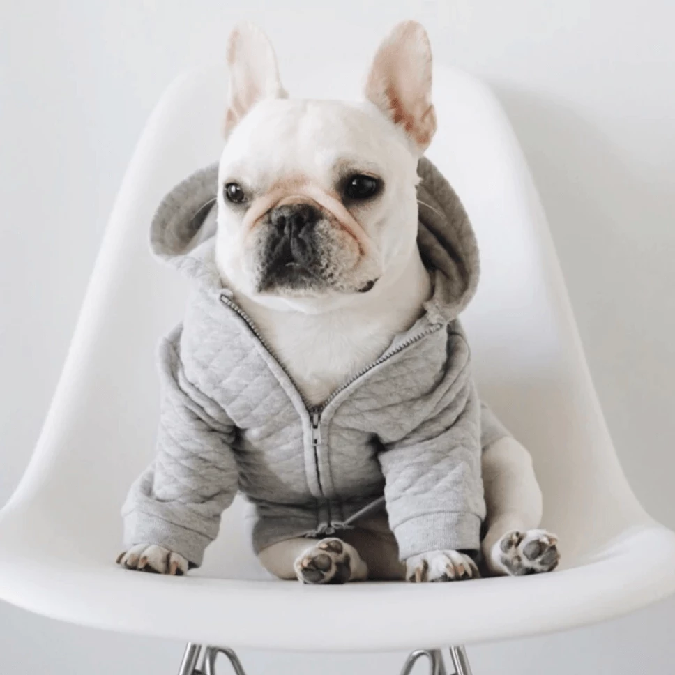 Brand new π Pipolli Quilted Hooded Jacket Grey Outerwear π 5 Pipolli Quilted Hooded Jacket Grey Outerwear