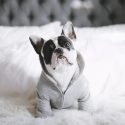 Brand new π Pipolli Quilted Hooded Jacket Grey Outerwear π 10 Pipolli Quilted Hooded Jacket Grey Outerwear