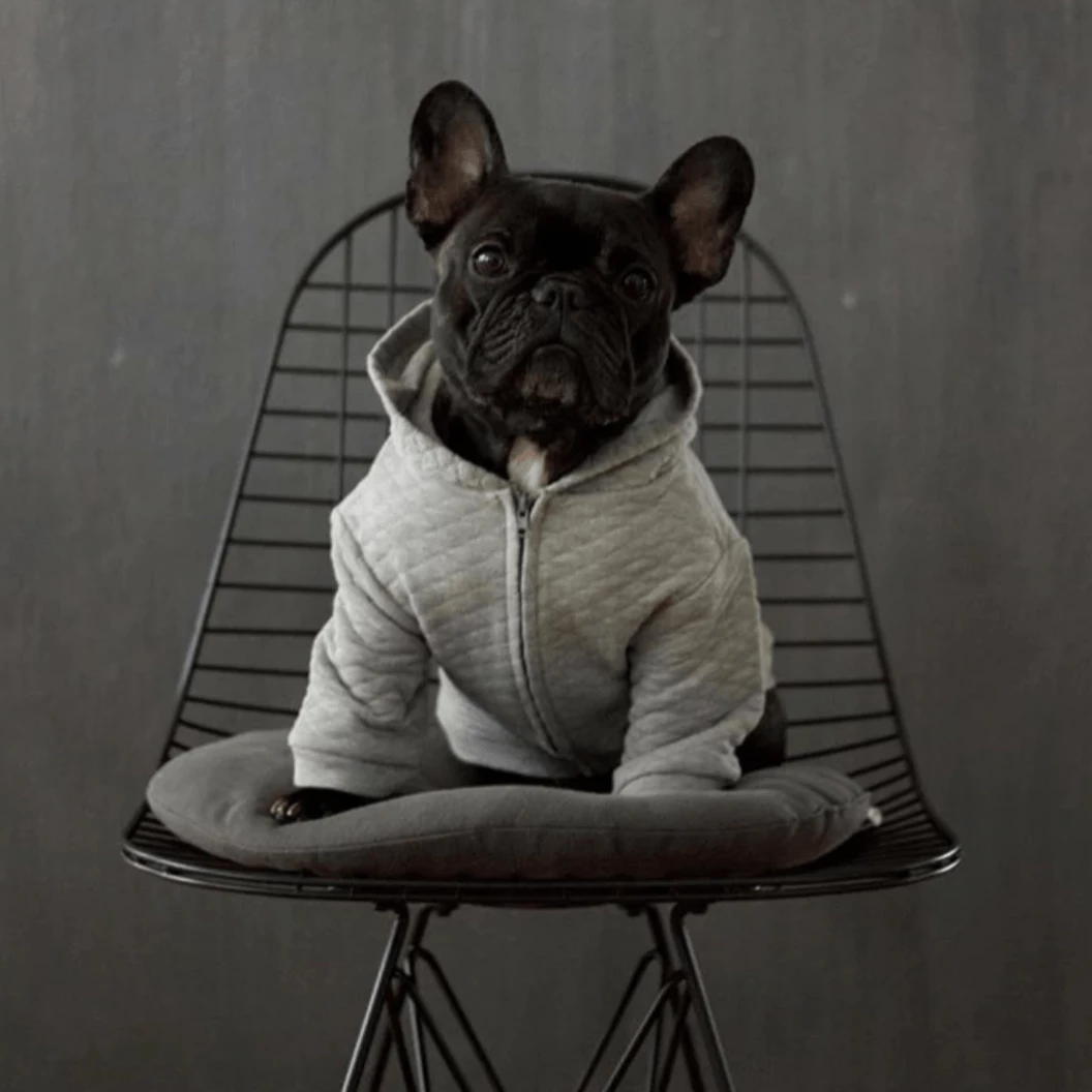 Brand new π Pipolli Quilted Hooded Jacket Grey Outerwear π 7 Pipolli Quilted Hooded Jacket Grey Outerwear