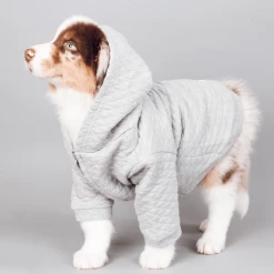 Pipolli Quilted Hooded Jacket Grey Outerwear