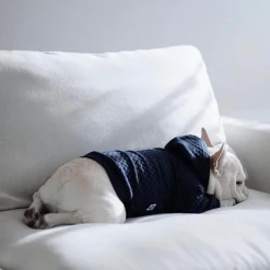 Pipolli Quilted Hooded Jacket Navy