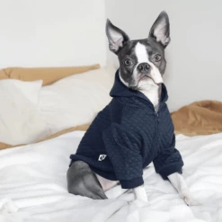 Flash Sale π Pipolli Quilted Hooded Jacket Navy π€© 8 Pipolli Quilted Hooded Jacket Navy