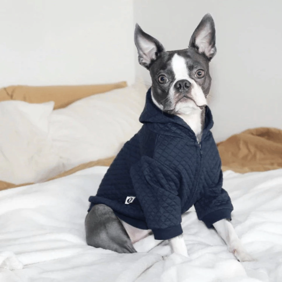 Flash Sale π Pipolli Quilted Hooded Jacket Navy π€© 5 Pipolli Quilted Hooded Jacket Navy