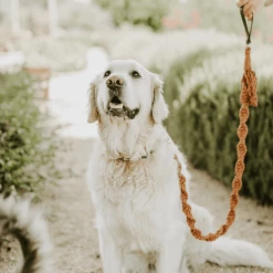 Macramama Walk Macrame Leash Tobacco