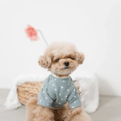 Mon Cheri Star Print Top Blue