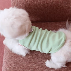 Chiot Playball Sleeveless Top Green