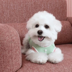 Chiot Playball Sleeveless Top Green