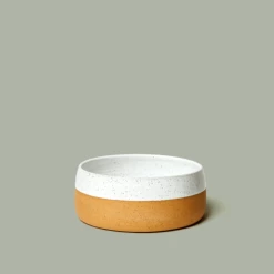 Kibble And Bone The Classic Pet Bowl Live