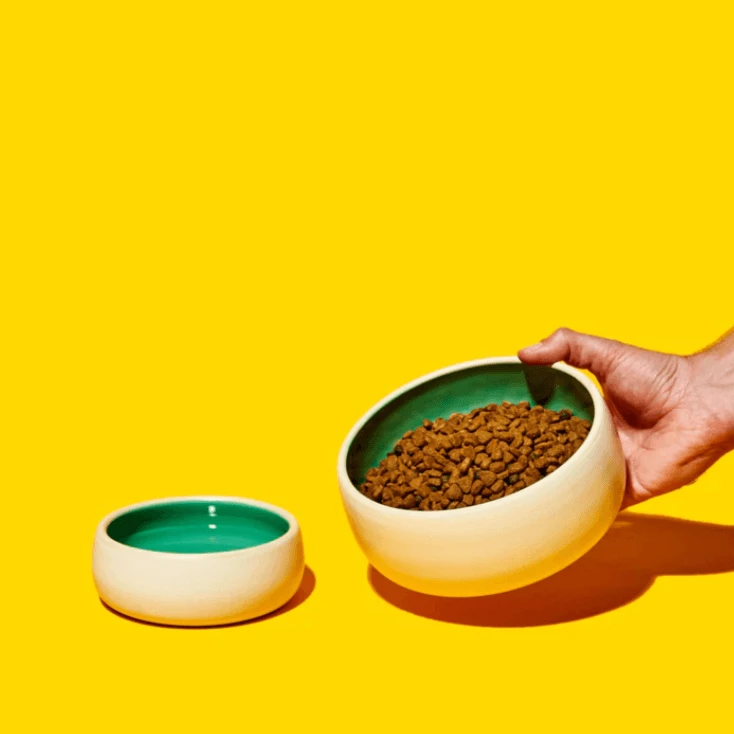 Best Pirce ๐ Kibble And Bone Live The Mojito Pet Bowl ๐ 5 Kibble And Bone Live The Mojito Pet Bowl