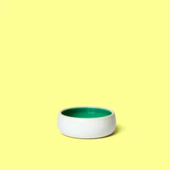 Best Pirce ๐ Kibble And Bone Live The Mojito Pet Bowl ๐ 9 Kibble And Bone Live The Mojito Pet Bowl