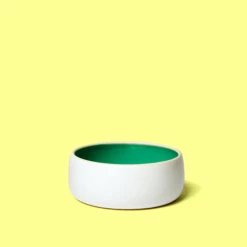 Kibble And Bone Live The Mojito Pet Bowl