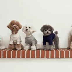 Small Stuff Logo Sweatshirt Navy New