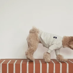 Small Stuff Logo Sweatshirt Oatmeal Melange New