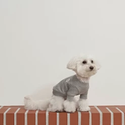 Small Stuff Logo Sweatshirt Grey Melange