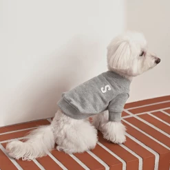 Small Stuff Logo Sweatshirt Grey Melange