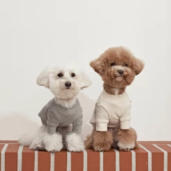 Small Stuff Logo Sweatshirt Grey Melange