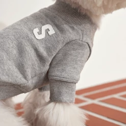 Small Stuff Logo Sweatshirt Grey Melange