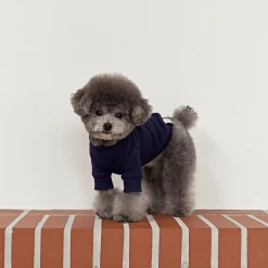 Small Stuff Logo Sweatshirt Navy New